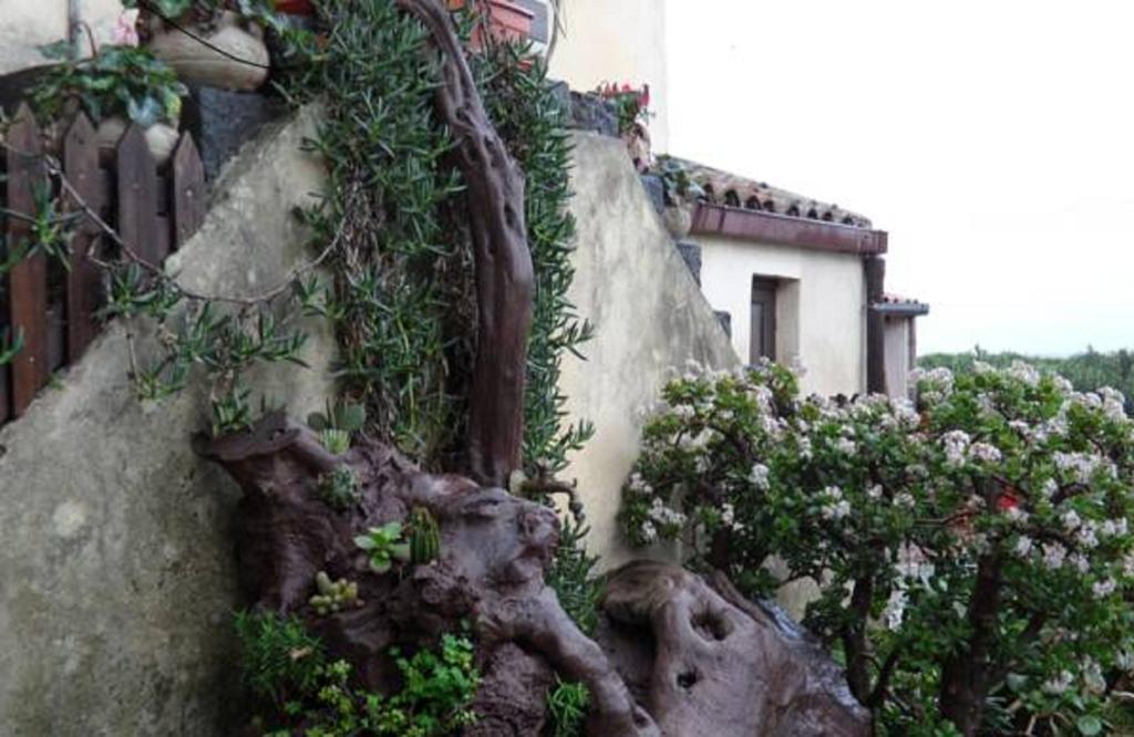 Agriturismo Ruvitello Misterbianco Bilik gambar